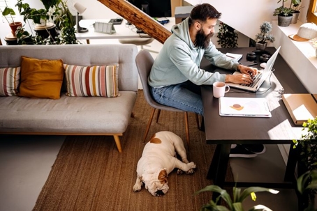 man working from home with his dog
